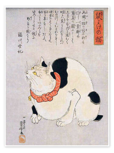 A Japanese cat