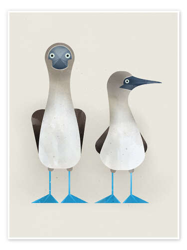 Blue-Footed Boobies