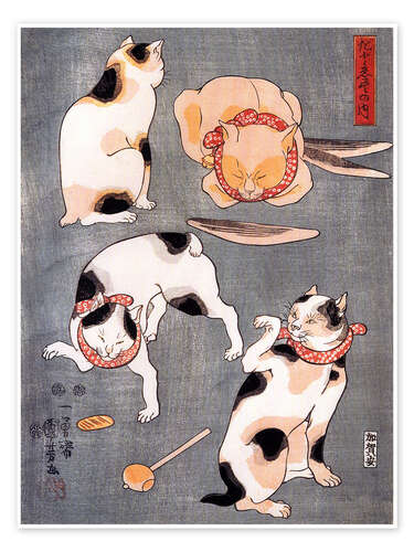 Four cats adopting different feline postures