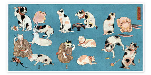 Proverbs illustrated by cats