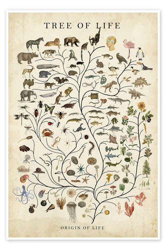 Tree of Life